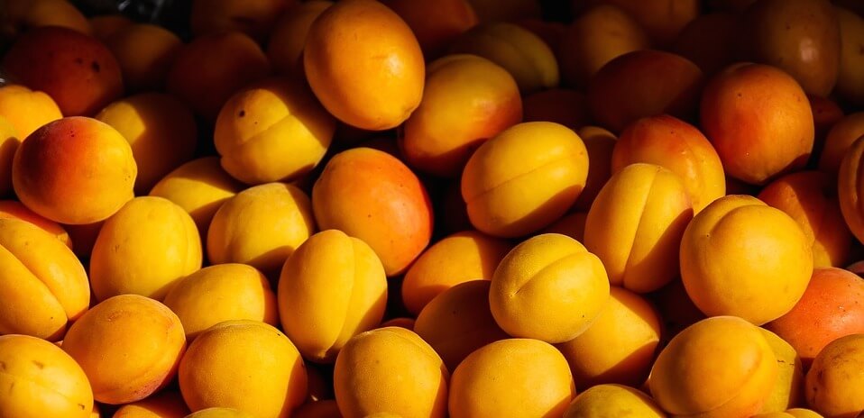 Les fruits