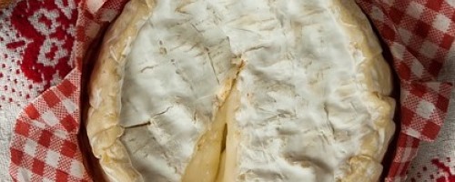 Musée des techniques fromagères 