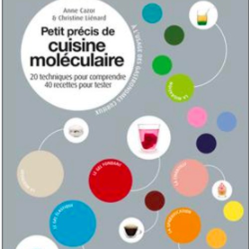 Petit précis de cuisine moléculaire