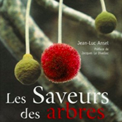 Les saveurs des arbres