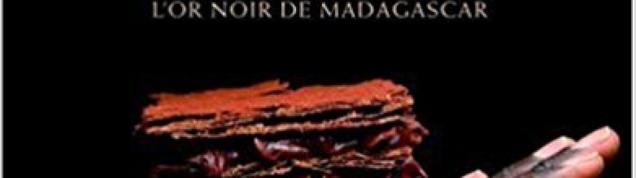 Cacao Vanille : l'or noir de Madagascar