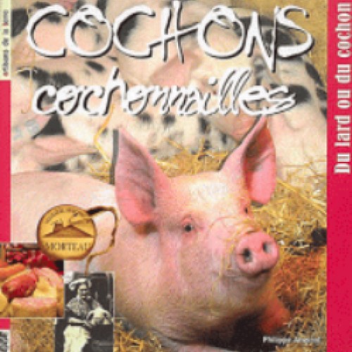 Cochons, cochonnailles : du lard ou du cochon 