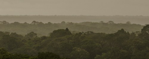 Guyane française