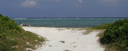 Îles Caïmans