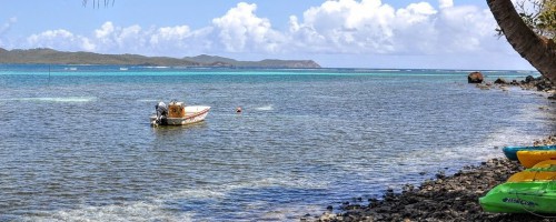 Martinique