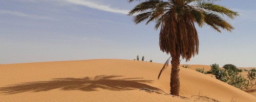 Mauritanie