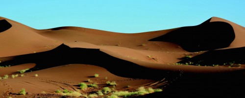 Sahara occidental