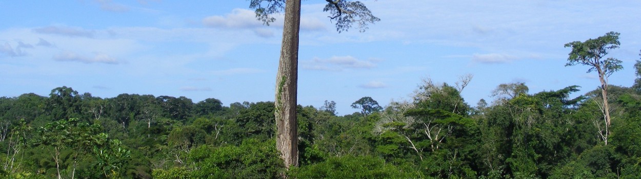 Guinée équatoriale