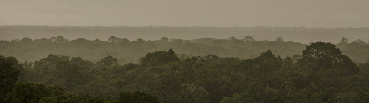 Guyane française