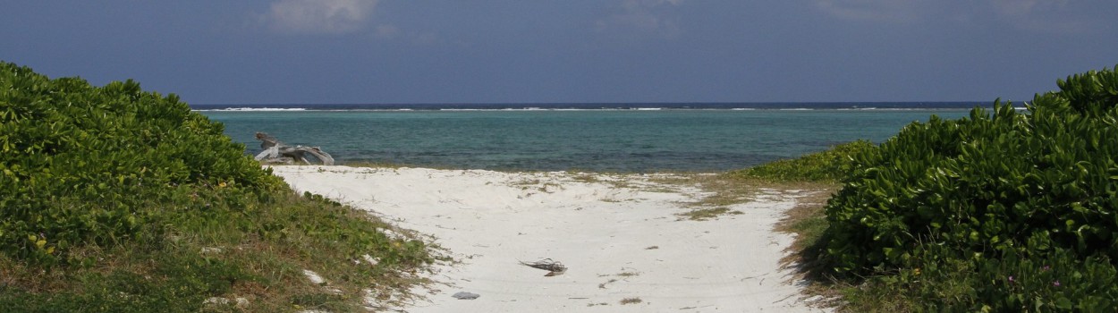 Îles Caïmans