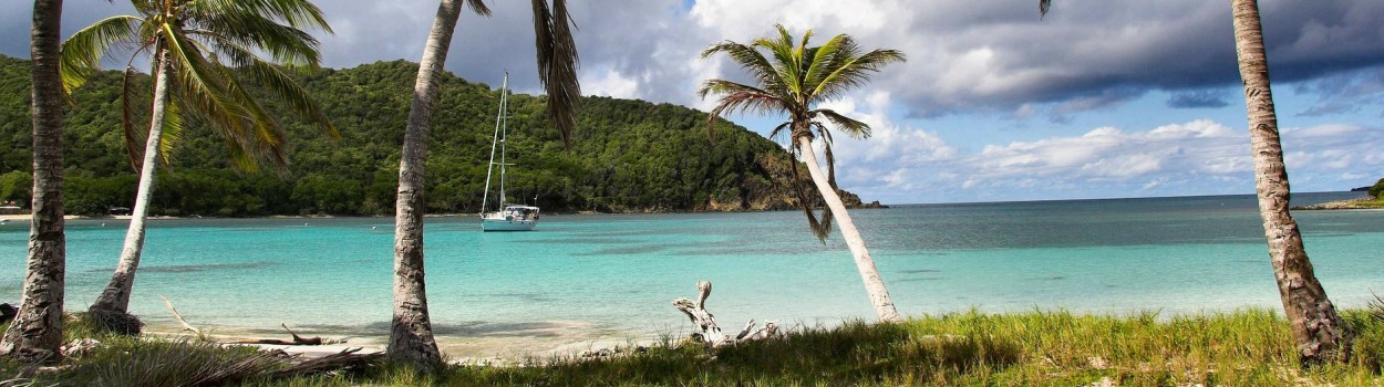 Saint-Vincent-et-les-Grenadines