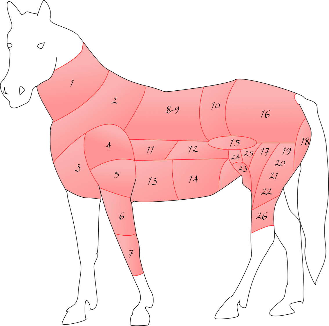 pièces de viande cheval