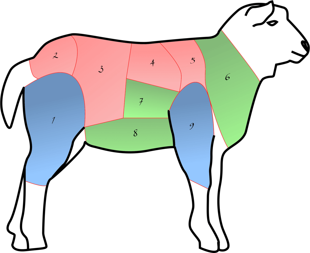 pièces de viande mouton